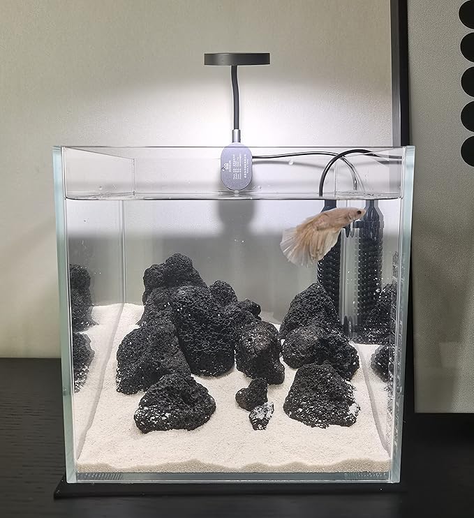 Small Nano Tall Rimless Tank, Glass Fish Tank, Betta Tank (2 Gallon 7.8x7.8x7.8inch/20x20x20cm)