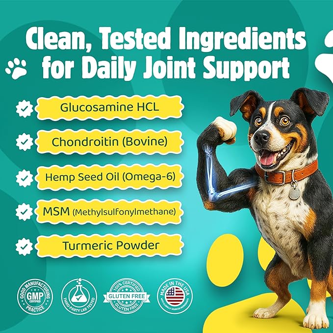Advanced Hip & Joint Support – Joint Supplement for Dogs Bacon Flavor Soft Chews; MSM & Turmeric for Mobility & Glucosamine for Dogs – Dog Vitamins and Supplements, 120 Chews