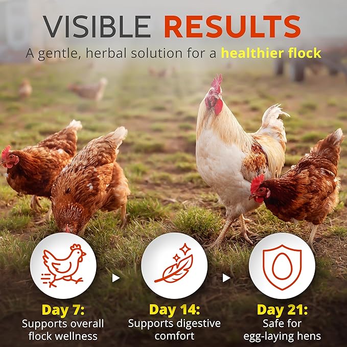 WormStop Natural Chicken Dewormer Powder – All-Natural Herbal Blend for Daily Wellness - Chicken Wormer is Safe for Eggs & All Ages - Garlic, Pumpkin Seed, Wormwood - USA (8 oz)