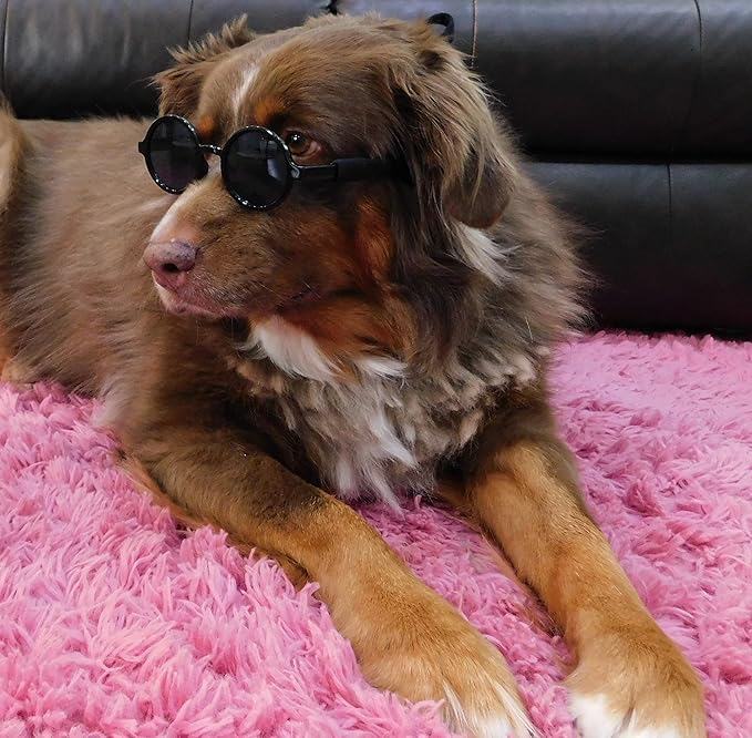 G001 Medium Breeds 20-40 lbs Dog Cat Pet Costume Prop Round Sunglasses (Black)