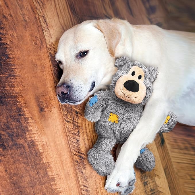 KONG Wild Knots Bears - Durable Dog Toys with Internal Knotted Ropes and Minimal Stuffing for Less Mess (Assorted Colors) (X Large (2 Pack))