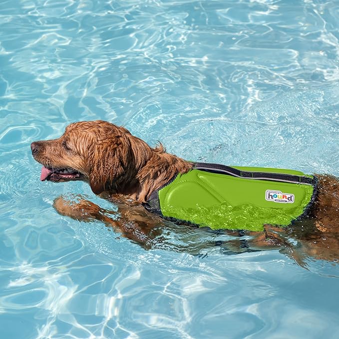 Outward Hound Dawson Swim Dog Life Jacket, High-Performance Neoprene Dog Life Vest for Swimming, Boating, and Water Safety, XL, Green