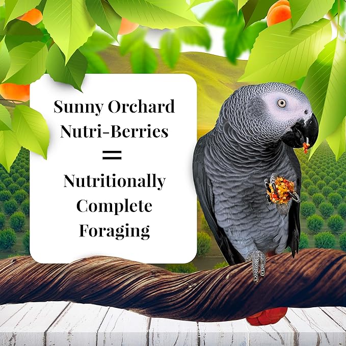 LAFEBER'S Sunny Orchard Nutri-Berries Pet Bird Food, Made with Non-GMO and Human-Grade Ingredients, for Parrots, 14 lb