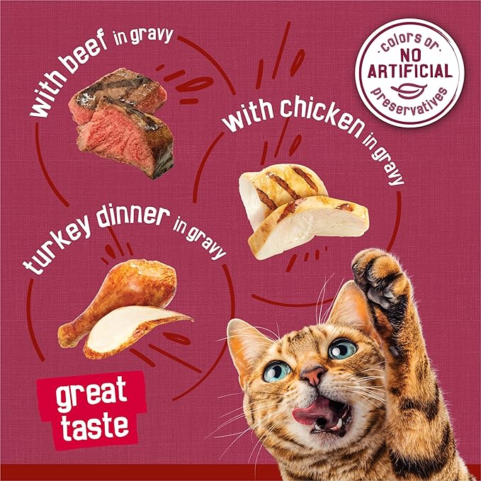 Friskies Purina Gravy Wet Cat Food Variety Pack,Prime Filets Meaty Favorites - 5.5 oz. Cans,(Pack of 48)