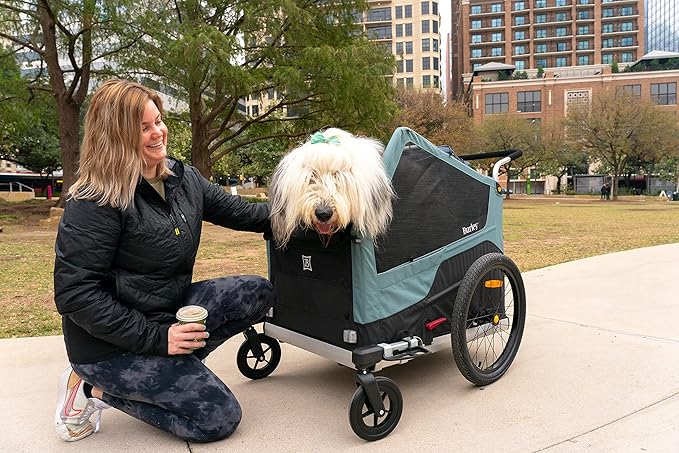 Burley Bark Ranger™ Pet Bike Trailer