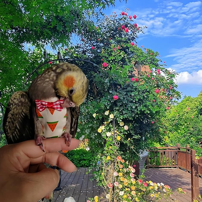 5 Pcs Bird Diapers Bird Harness Flight Suits Diapers Reusable Parrot Nappy with Waterproof Inner Layer Washable Cute Urine Wet Suit for Cockatiel Budgie Conure Macaw Parakeet Lovebird,M