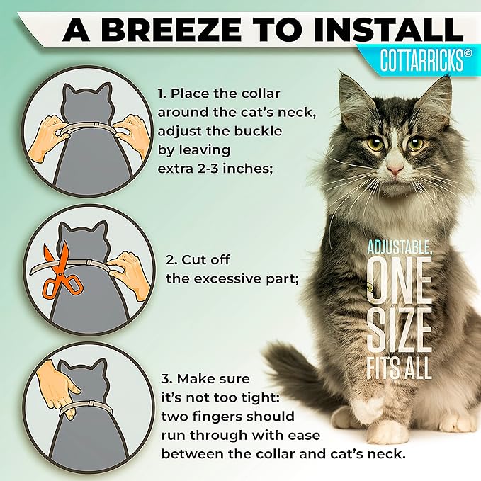 Flea and Tick Prevention for Cats - Collar - 2 Count - Adjustable