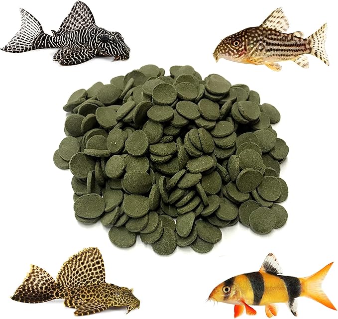 Medium 12mm Algae Wafer - Algae Wafers for Bottom Feeders - The Best Pleco Wafers & Pleco Food Available - Algae Wafers for Snails (10 lb)