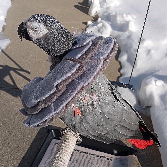 Stiff Insert Cone Bird Collar for African Grey Parrots