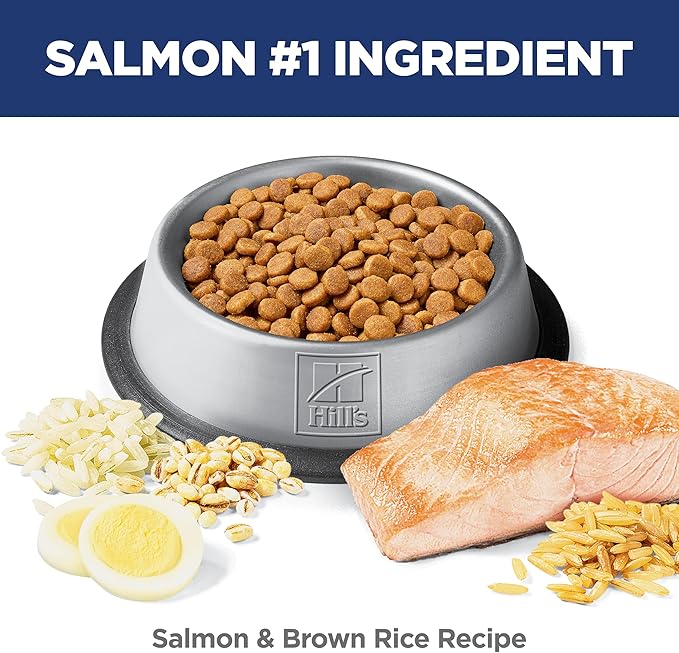 Hill's Science Diet Adult 1-6 Sensitive Stomach & Skin Dry Cat Food, Salmon Recipe, 13 lb. Bag