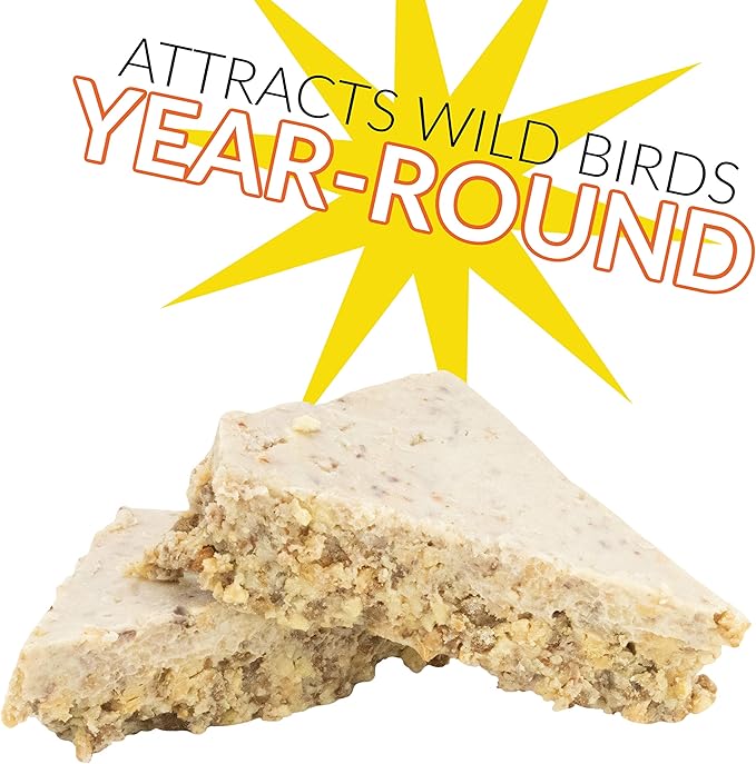 C&S Peanut Treat Suet - 11 oz.