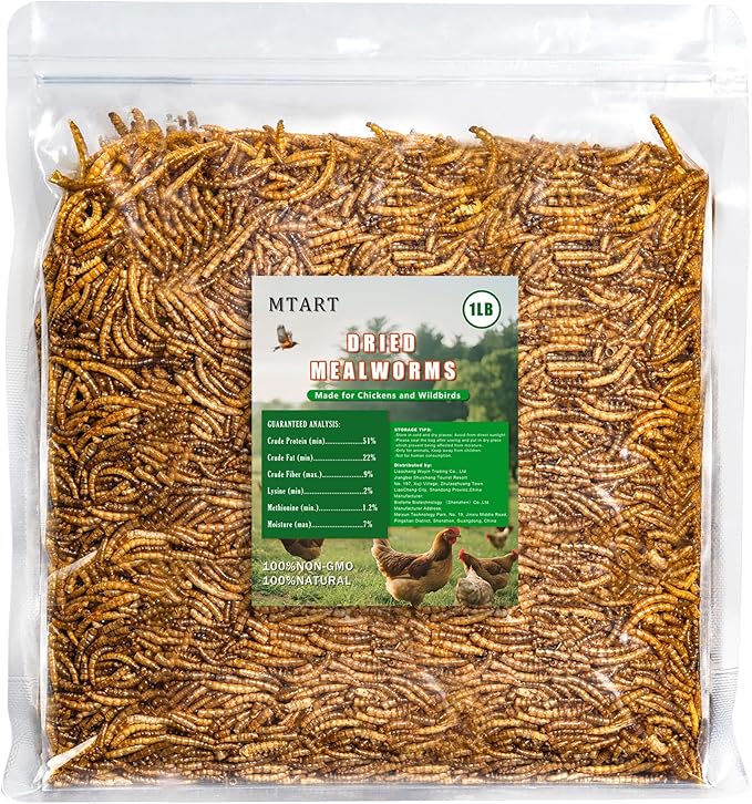 1LB Dried Mealworms Treat for Chicken, 100% Natural Non-GMO High Protein Organic Chicken Feed for Birds, Ducks, Layer Hens