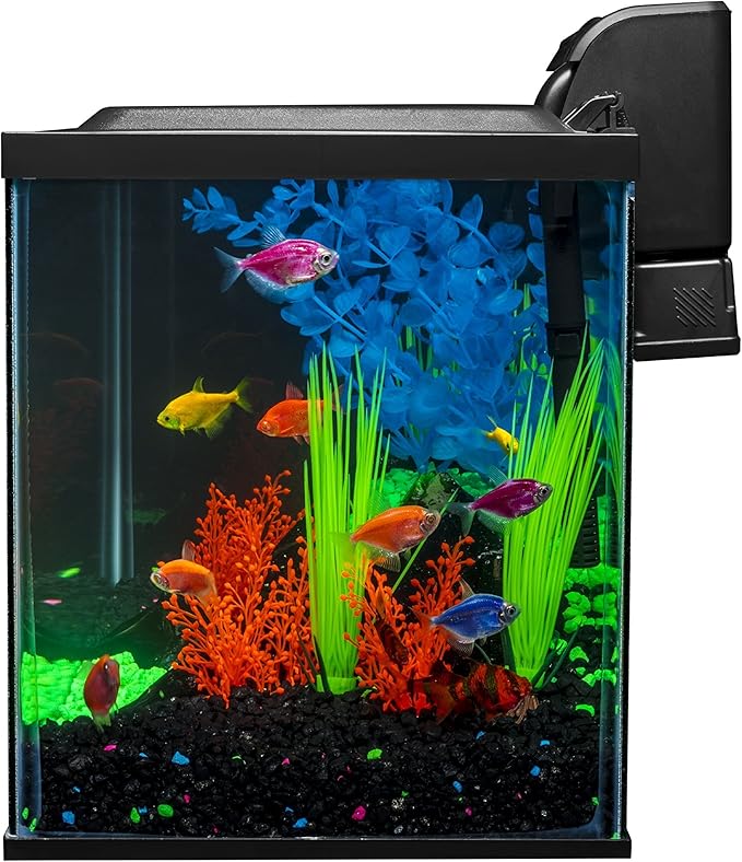 Glofish 10 Gallon Aquarium Fish Tank Kits, Includes LED Lighting and Décor (Amazon Exclusive)