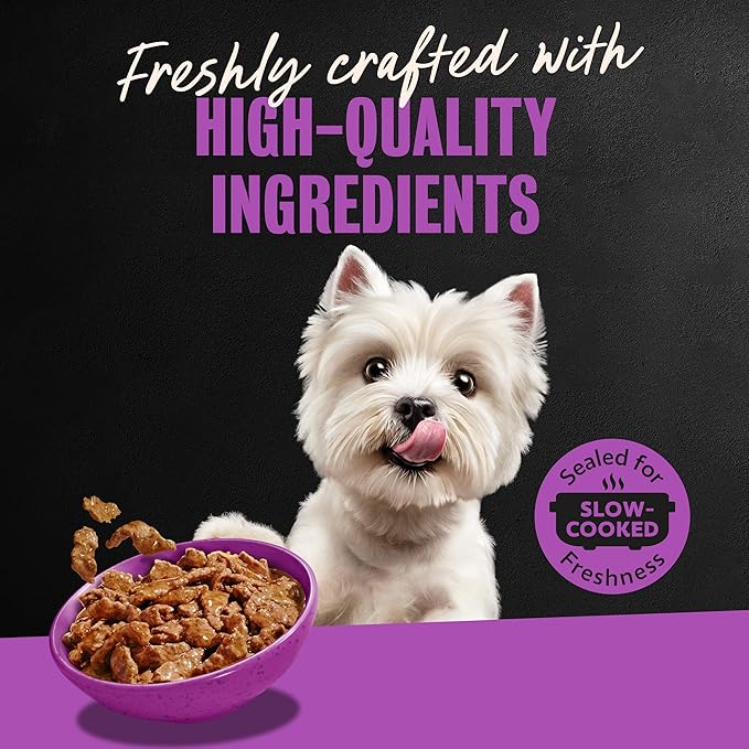 Cesar Filets in Gravy Adult Wet Dog Food Filet Mignon Flavor, 3.5 oz. Easy Peel Dog Food Tray, 24 Count (Pack of 1)