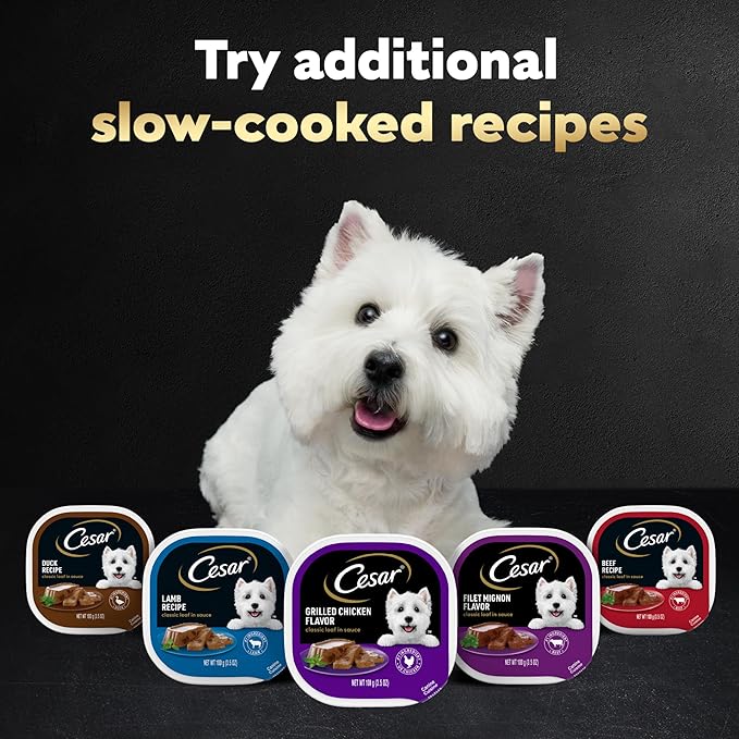 Cesar Classic Loaf in Sauce Adult Wet Dog Food Chicken and Beef Recipe, Wet Food for Dogs, 3.5 oz Easy Peel Trays, 24 Count