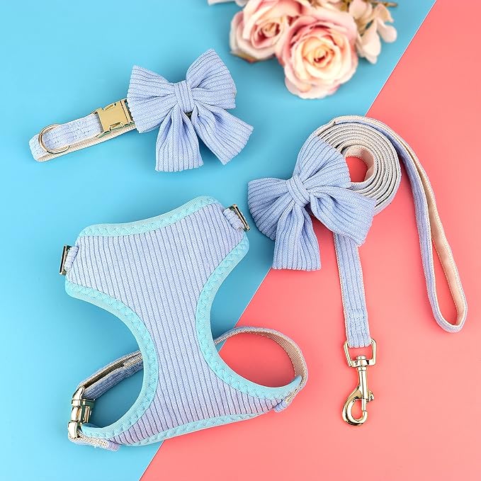 Didog Cute Small Dog Harness Collar and Leash Set with Bowtie, Breathable Soft Mesh Padded Puppy Harness, Dog Harness for Small Dogs Daily Walks Parties, Holiday Gatherings & Gifts, Blue, M