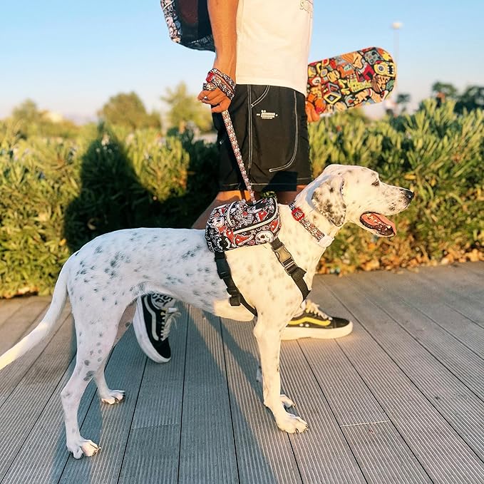 Pawlook Dog Backpack Harness – Street Smart | Waterproof, Adjustable, Breathable – Leash Attachment D-Rings, Poop Bag Pocket – Small & Medium Dogs – 8 Styles Skull Small