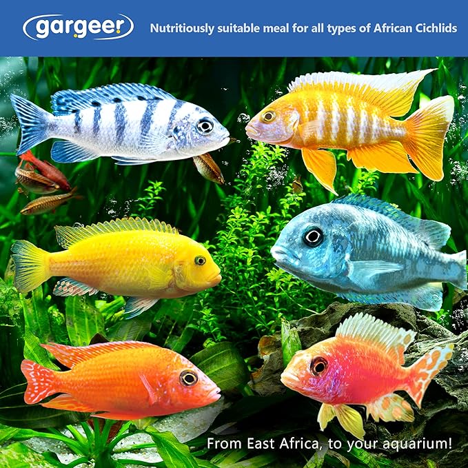 3oz African Cichlid Fish Food for Advanced Breeders. Complete African Cichlid Gel Diet for Both Juveniles & Adults. Made in The USA Using Premium Ingredients, Wild Nutrition Gourmet Formula