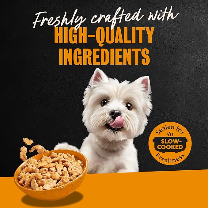 Cesar Filets in Gravy Adult Wet Dog Food, Rotisserie Chicken Flavor, 3.5 oz. Easy Peel Dog Food Tray, 24 Count (Pack of 1)