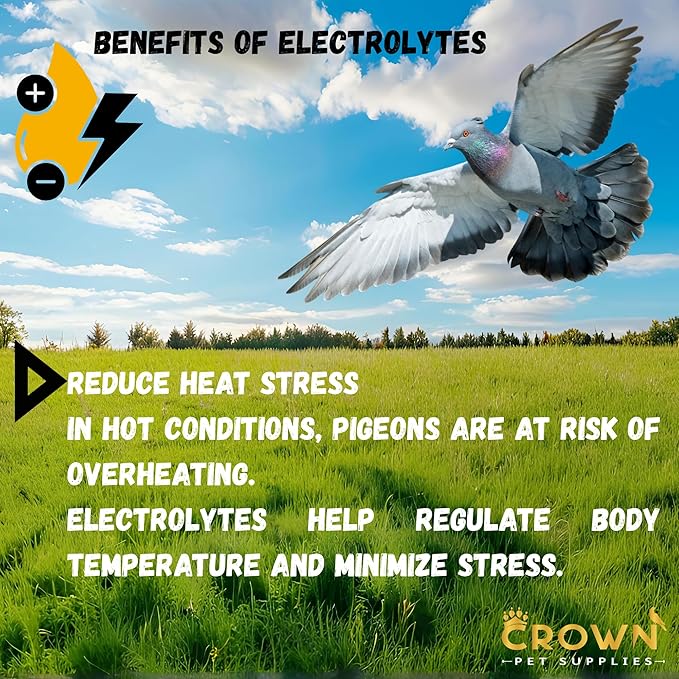 Electrolytes Plus Powder for Pigeons – Hydration & Recovery Supplement with Essential Minerals & Nutrients for Pigeons, Racing Pigeons and All Types of Pigeons & Birds