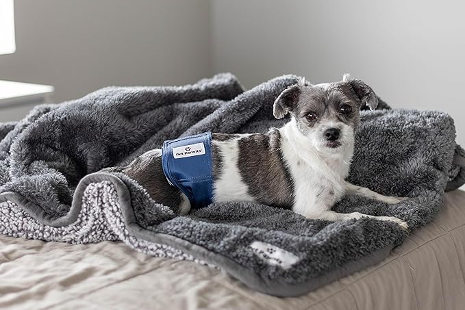 Pet Parents® Washable Belly Bands for Male Dogs (3pack) + Extendrs® of Durable Dog Diapers Male, Premium Male Dog Diapers & Dog Wraps (Medium, Kingsmen)