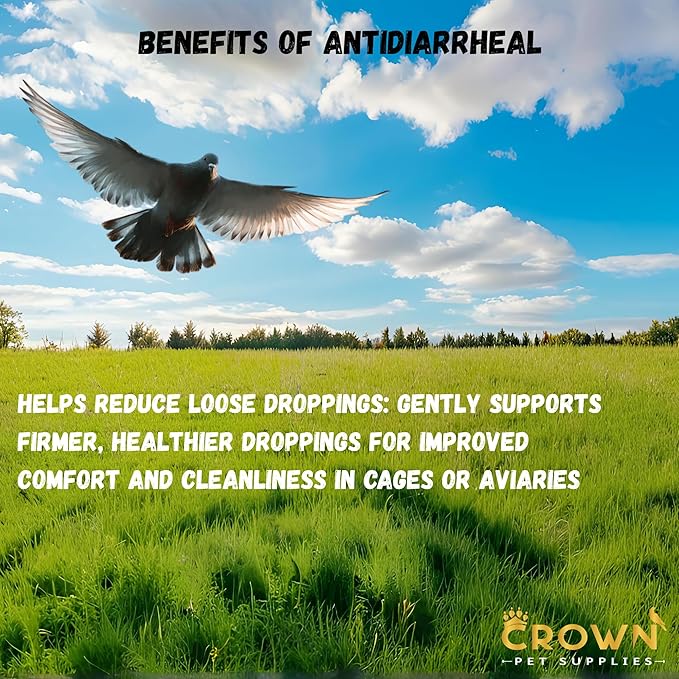 Avian Gut Health & Digestive Support – Multi-Strain Probiotic Blend, Natural Intestinal Balance Supplement for All Birds, Promotes Healthy Digestion & Immune Function