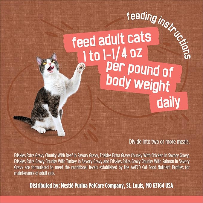 Friskies Purina Extra Gravy Wet Cat Food Chunky Variety Pack (with Chicken,Turkey,Salmon,Beef) - 5.5 oz. Cans,(Pack of 48)