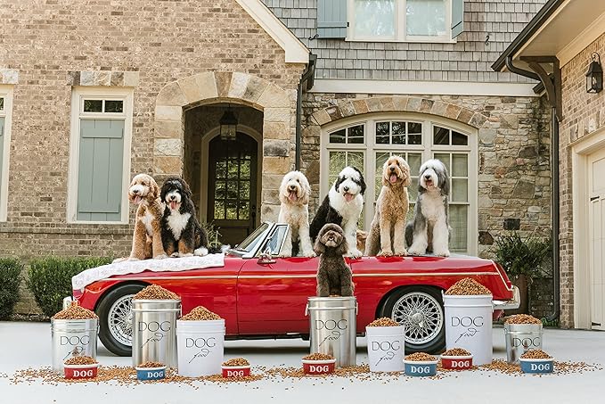 Harry Barker Classic White Dog Food Storage Canister – Large, Airtight Stainless Steel Pet Food Container, Holds Up to 40 lbs Dry Dog Food, Kitchen Counter & Pantry Storage - White