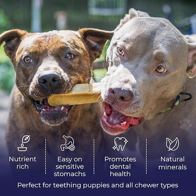 Devil Dog Pet Co. Himalayan Yak Cheese Dog Chews, Extra Large - 1 Pack, 100% Natural & Healthy, Lactose-Free, Long-Lasting Dog Treats, Premium Yak Milk Chew Bones for Dogs