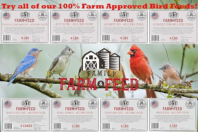 | Four Season | City Blend | Fancy Wild Bird Food | Backyard Songbird| 4 Pounds