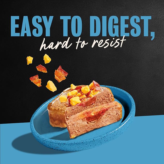 Cesar Loaf in Sauce Wet Dog Food Rotisserie Chicken Flavor with Bacon & Cheese and Filet Mignon Flavor with Bacon & Potato Variety Pack, 3.5 oz. Easy Peel Trays, 12 Count (Pack of 2)