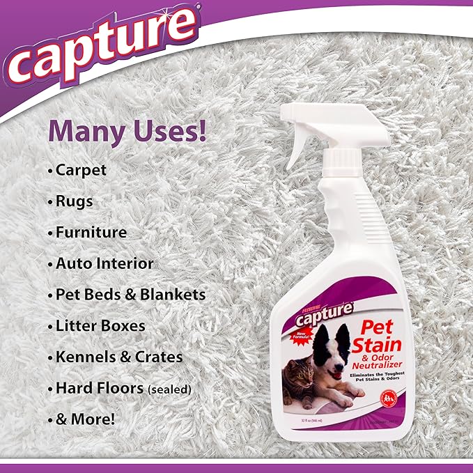 Capture Pet Stain & Odor Remover - Enzyme Pet Odor Eliminator for Home, Carpet Stain Remover for Cats & Dog Pee, Cat Urine Destroyer, Carpet Cleaner Spray - 32oz Spray Bottle