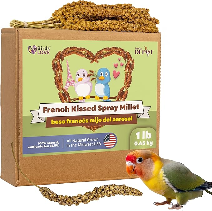 Birds LOVE 1lb French Kissed Spray Millet for Birds – Harvested in France & Packed in The USA – 100% Natural & Sun‑Dried Millet Spray for Parakeets, Cockatiels, Conures, Parrots & Budgies