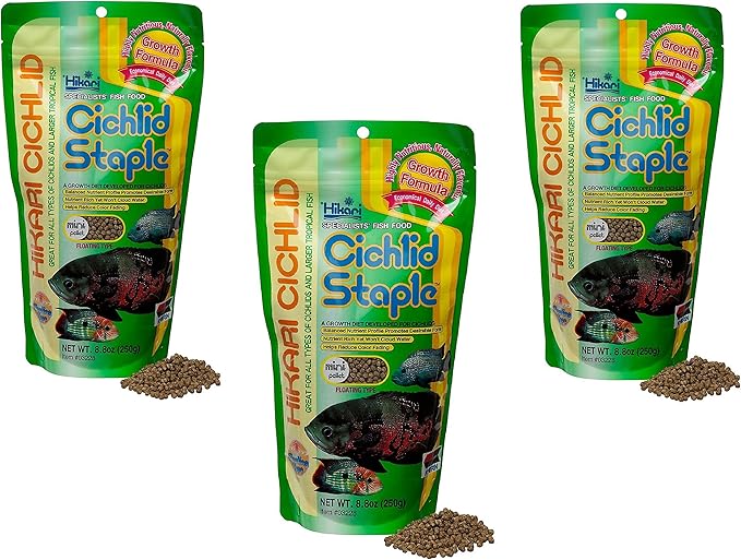 (3 Pack) Hikari Cichlid Staple Floating Pellets for Pets, Mini - 8.8-Ounce each