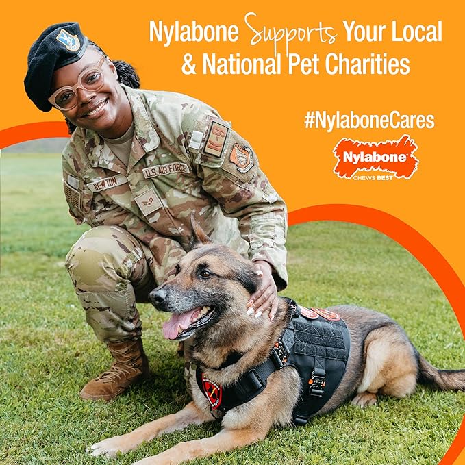Nylabone Power Chew Classic Bone Chew Toy for Dogs, Durable Dog Toys for Aggressive Chewers, Bacon Flavor, Medium/Wolf - Up to 35 lbs. (1 Count)