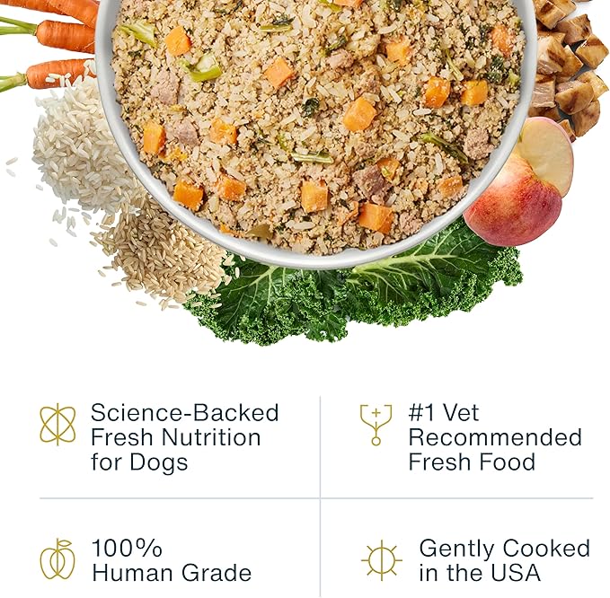 JustFoodForDogs Pantry Fresh Wet Dog Food, Complete Meal or Dog Food Topper, Chicken & White Rice Human Grade Dog Food Recipe - 12.5 oz (Pack of 12)