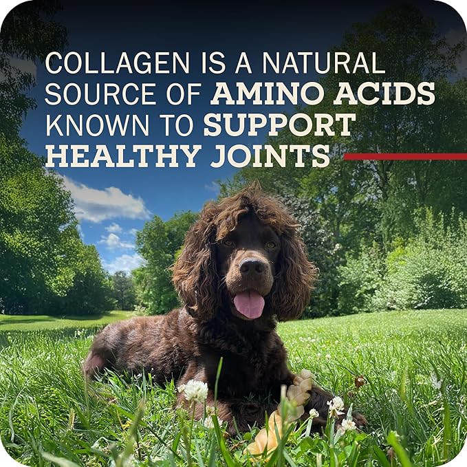 Redbarn Pet Products Natural Small Collagen Sticks for Dogs - Long Lasting Alternative to Traditional Rawhide & Bully - Supports Joint, Skin, & Coat Health - Case of 25