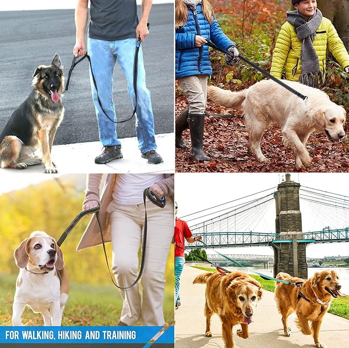 Heavy Duty Dog Leash - 2 Handles by Padded Traffic Handle for Extra Control, 6foot Long - Perfect for Medium to Large Dogs (Purple, 6 ft)