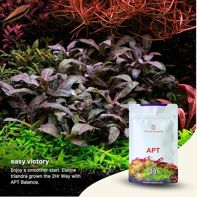 2Hr Aquarist APT Balance Freshwater Aquarium Starter Bacteria