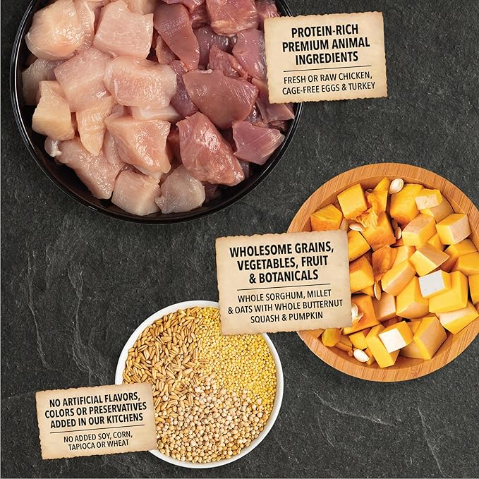ACANA Wholesome Grains Dry Dog Food Small Breed Recipe Real Chicken Eggs and Turkey 4lb Bag