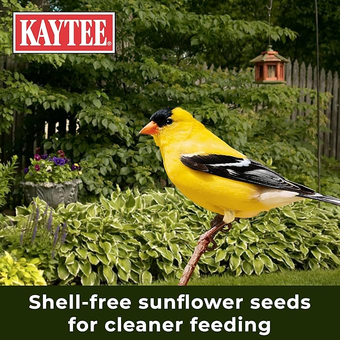 Kaytee No Mess Finch Seed and Nyjer Blend, Attracts Goldfinches, Chickadees, Junos, Finches and Other Wild Birds, 8 Pounds