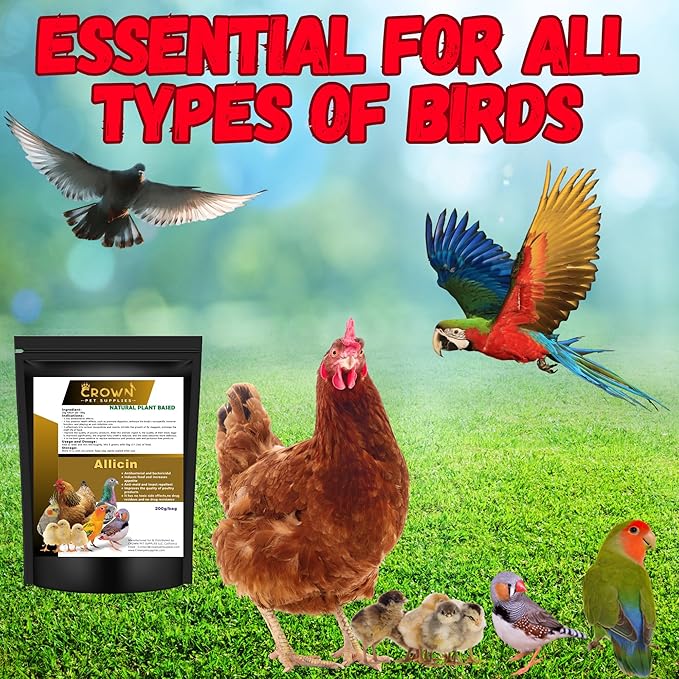 Allicin Natrual Plant Based Protection for Backyard Chickens, Poultry, Pigeons, Parrots & All Cage Birds – Natural Booster, Respiratory Health & Immune Booster – Safe for All Birds