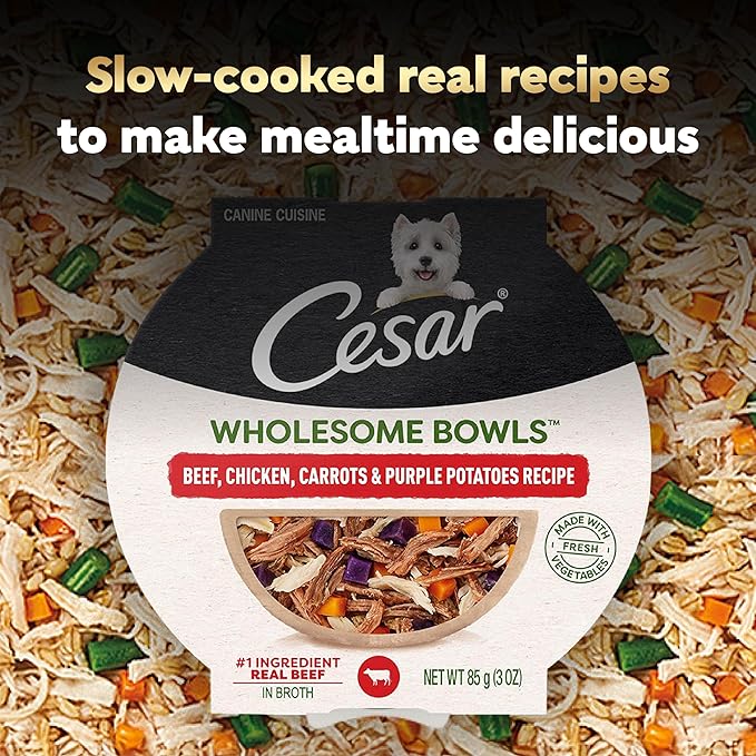 Cesar Wholesome Bowls Adult Wet Dog Food,Beef,Chicken,Purple Potatoes & Carrots,Wet Food for Dogs,3 Oz. Bowls,10 Count (Pack of 2)