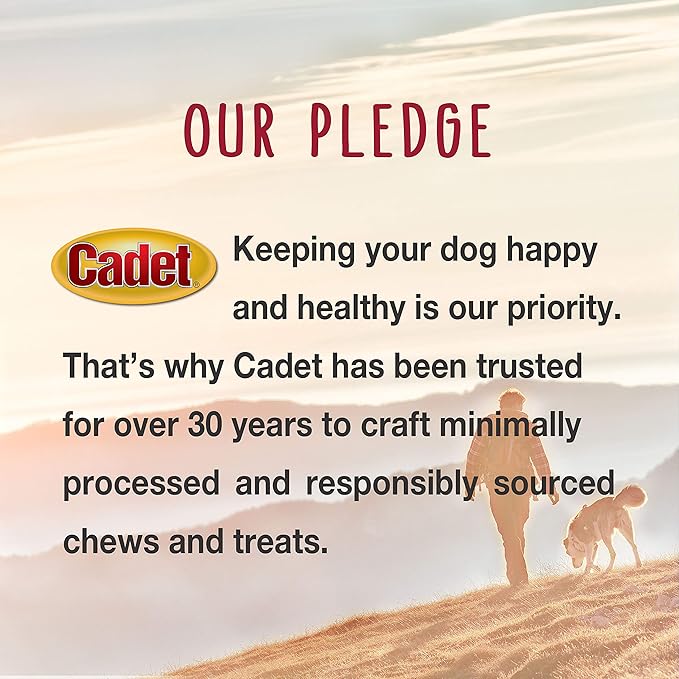 Cadet Gourmet Beef Hide Twist Chew Sticks, Long Lasting & Natural Chew Treats for Dogs, Inspected & Tested in USA, Chicken Flavor (14 Count)