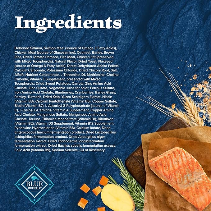 Blue Buffalo Wilderness Natural High-Protein Dry Food for Adult Dogs, with Wholesome Grains, Salmon, 24-lb. Bag