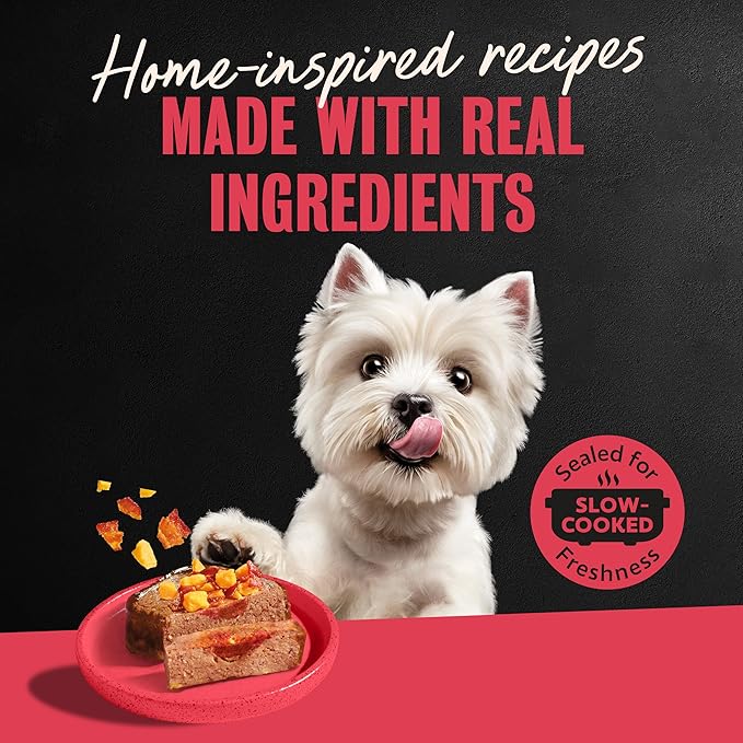 Cesar Loaf & Topper in Sauce Wet Dog Food Bacon Feast Variety Pack, Rotisserie Chicken with Bacon & Cheese and Angus Beef with Bacon & Cheese, 3.5 oz, Easy Peel Trays, 12 Count (Pack of 2)