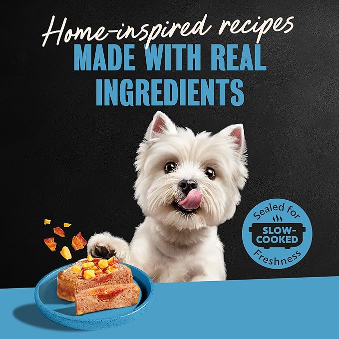 Cesar Loaf in Sauce Wet Dog Food Rotisserie Chicken Flavor with Bacon & Cheese and Filet Mignon Flavor with Bacon & Potato Variety Pack, 3.5 oz. Easy Peel Trays, 12 Count (Pack of 2)
