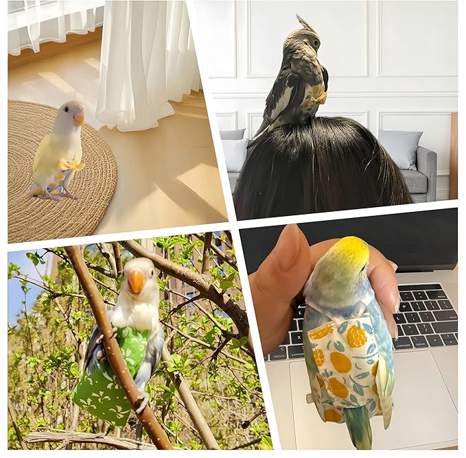 2Pcs Bird Diapers Bird Harness Flight Suits Diapers with 2Pcs 80 Inch Flying Leash Parrot Nappy Pigeon Pants Urine Wet Suit for Cockatiel Conure Macaw Budgies Parakeet-Bowknot&Lemon