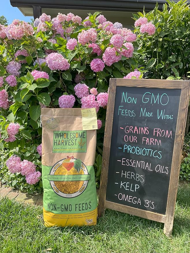 Non-GMO Soy Free-Corn Free Whole Grain Layer Mash (10 lb)