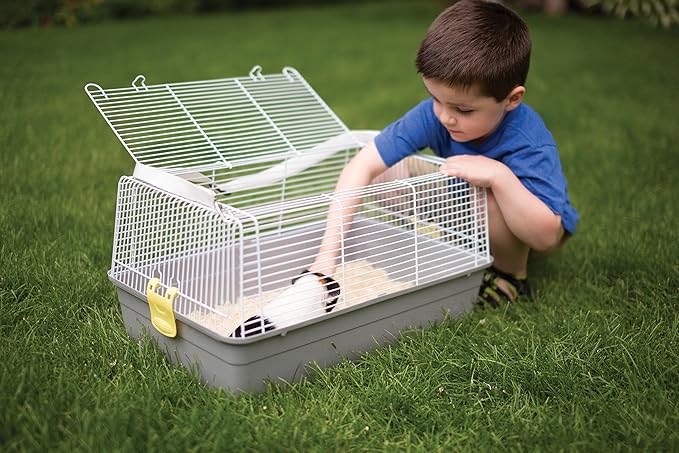 Prevue Pet Products Small Animal Travel Carrier - Hamster, Bird, Parakeet, Gerbil, Rabbit, Ferret, Guinea Pig, & Rat Carrier, Easy Pet Transportation, Travel Bird Cage, Lightweight & Portable - Gray